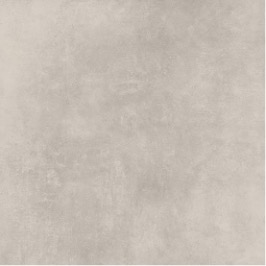 SHIBA – MARRONE